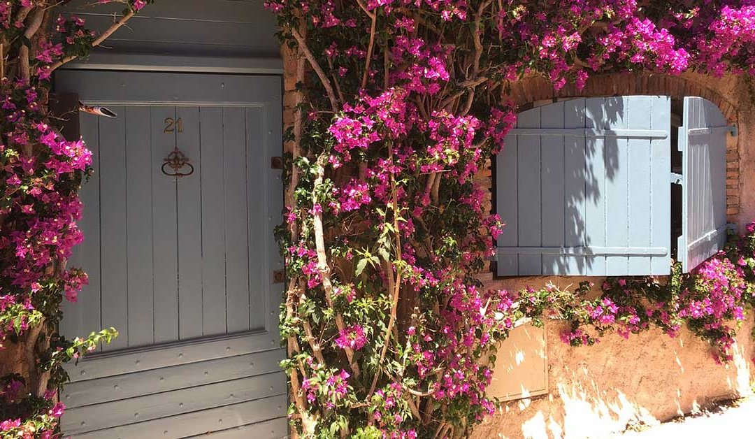 exterior french doors in west palm beach